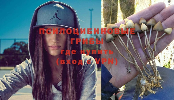 дмт Абаза
